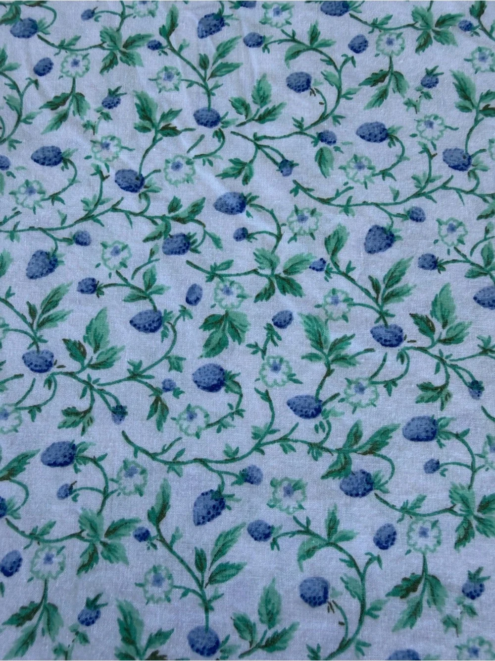 Laura Ashley Bramble Berry Fields 2-Piece Sheet Set Queen 100% Cotton GUC